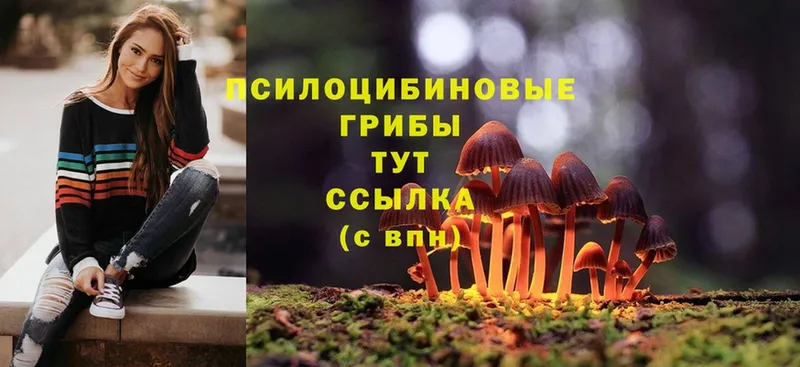 купить наркотики сайты  blacksprut ссылка  Псилоцибиновые грибы Cubensis  Красногорск 